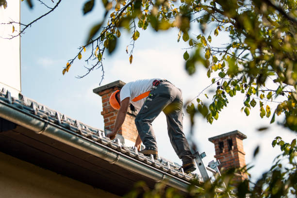 Best Roof Gutter Cleaning  in Hoopa, CA